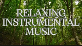 RELAXING INSTRUMENTAL MUSIC