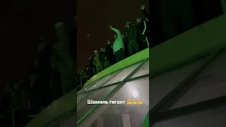 Шамиль багандалиев