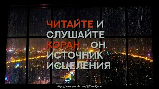 Арби аш-Шишани (2 часа Красивого чтения Корана)