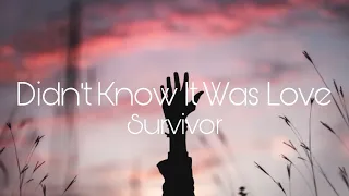 Survivor - Didn't know it was love lyrics