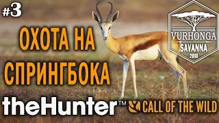 theHunter Call of the Wild #3 🔫 - Охота на Спрингбока - Винтовка - Спрингбок, Куду