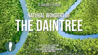 Daintree Rainforest Documentary in 4K | Australia Nature | Queensland | Original Documentary