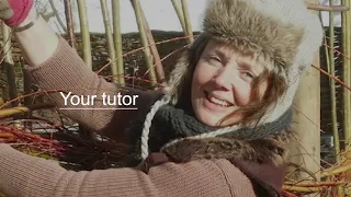 Introduction to Willow Weaving