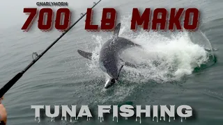 MONSTERS EXIST (700lb Mako Shark Breach) #tunafishing #makobreach #sharkfishing