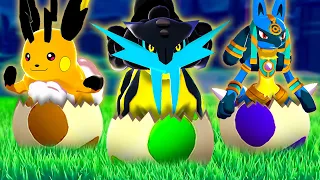 10 Fake Pokemon Eggs To Build A Team, Then We Battle!