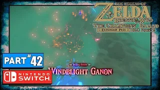 Zelda Breath of the Wild Champion's Ballad DLC 2 | Part 42: Illusory Windblight Ganon