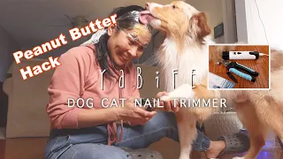 Dog Cat Nail Trimmer YABIFE Peanut Butter Trick To Cut Dog Nails