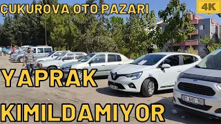 YAPRAK KIMILDAMIYOR !!! l 2.El Araba Fiyatları l 2.El Oto Pazarı