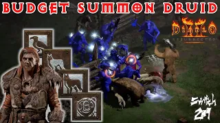 Build Guide: Budget Summon Druid! Easy And Fun Build With Even Nightmare Gear - Diablo 2 Resurrected