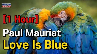 폴모리아 [Love Is Blue] Paul Mauriat 우울한 사랑 ‘러브이즈블루’ 사랑은 파랑색 경음악 연주곡 1시간 듣기 1 Hour