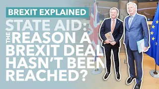 Brexit: How State Aid Became the Biggest Brexit Deal Breaker - TLDR News