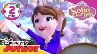 Sofia the First | That's What Wassailia's For Song | Disney Junior UK