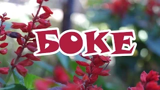 Советский объектив на современной беззеркалке!!!