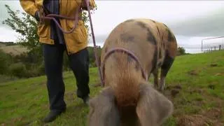 Max meets a retired couple living the Truffle dream life by the Sea