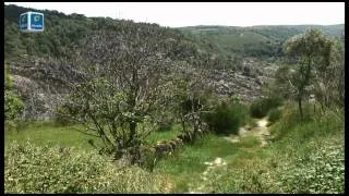 Entre a História, a natureza e o cão de Castro Laboreiro