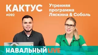 Кактус #092. Забастовка в Аэрофлоте, новый куратор интернета в Кремле и Мединский