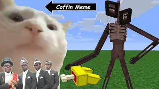 Coffin Meme but Cat is Vibing in Minecraft Part 2