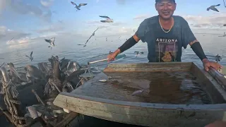 South Texas Shrimping #14 Tôm Nam Texas