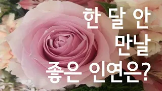 [타로] 한 달 안에 만나게 될 좋은 인연은? 귀인? 멘토? 친구? 누구일까?