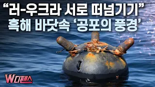 [W디펜스] “러-우크라 서로 떠넘기기” 흑해 바닷속 ‘공포의 풍경’  /머니투데이방송