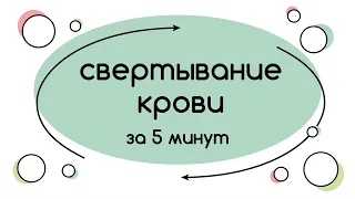 BioFamily: Механизм свертывания крови за 5 минут