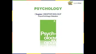 PSY 1001: Biopsychology