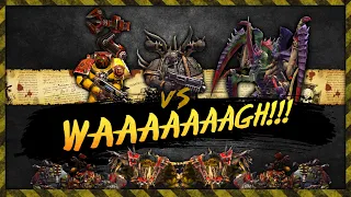 Warhammer 40,000: Dawn of War 2 - 3 v WAAAGH!!!