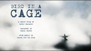 BIRD IN A CAGE short film trailer