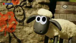 BOOMERANG NOW | SHAUN THE SHEEP