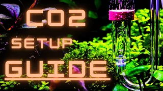 EVERYTHING YOU NEED TO KNOW TO SETUP A CO2 SYSTEM FOR YOUR AQUARIUM