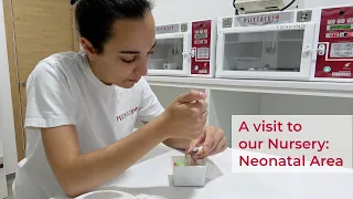 Visita a la nursería en el área neonatal de Psittacus