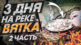 Three days on the Vyatka river part 2.Outdoor recreation with friends. Fry the meat.NOT Fishing 2020