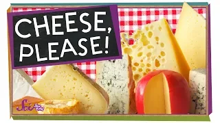 Why Does Some Cheese Have Holes?