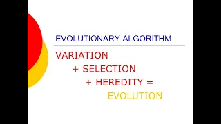 11.1 Evolution of consciousness