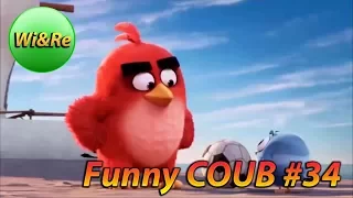 Funny COUB Style #34 ⁄⁄Лучшее в Coub  ПРИКОЛЫ Best Coub