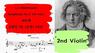 🎼 베토벤 5번 운명교향곡 1악장 제2바이올린 크게 듣기 |  L.v Beethoven Symphony No.5 op.67 1st mov. 2nd Violin part