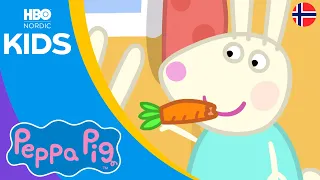 Peppa Gris | Hvordan å være kaniner | Nordic Kids Norge 🇳🇴