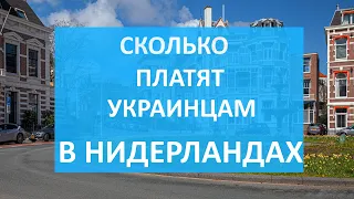 Сколько платят украинским беженцам в Нидерландах. Размер пособия, право на работу, медицина и жилье