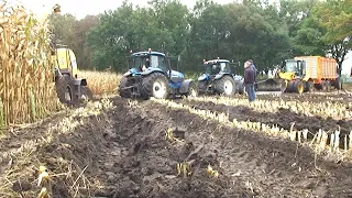 Maïs 2011 | Very wet harvest | New Holland 9060 word eruit getrokken door 3 tractoren en 1 loader