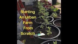Building a New Urban Farm from Scratch with Michael Bell