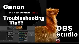 Canon EOS Webcam Utility - How to Guide. Plus Troubleshooting. Stream on OBS or Streamlabs