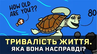 Як визначається тривалість життя [MinuteEarth]