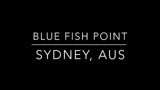 Diving Blue Fish Point, Sydney Australia