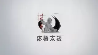 Taichi pushhand 太极推手中的劲路