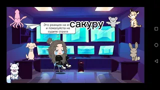 🌸реакция на Сакуру харуно 1/?🌸