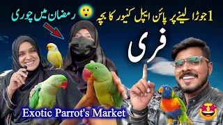 Exotic Parrots & Rare Birds Market 2024 Latest Video in Urdu Hindi || Lalukhet exotic market updates