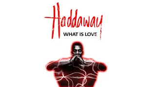 Haddaway What Is Love EDM Remix