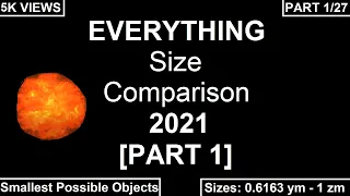 EVERYTHING Size Comparison 2021 [PART 1]