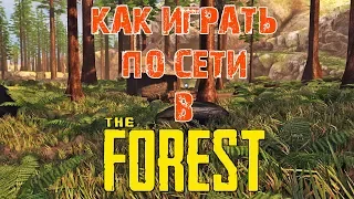 КАК ИГРАТЬ В THE FOREST ПО СЕТИ НА ПИРАТКЕ!?!?