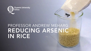 Professor Andrew Meharg – Reducing Arsenic in Rice